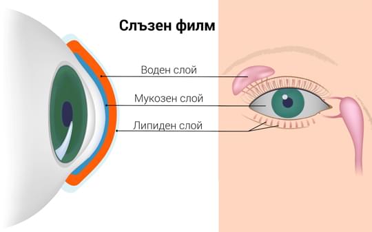 Какво е синдром на "Сухото Око"
